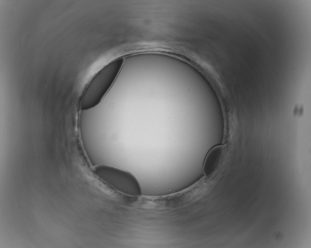 X0000111391365200907100951