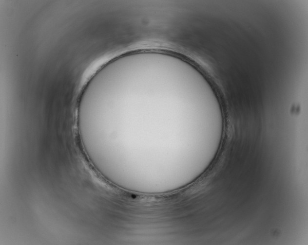 X0000111391366200907100951