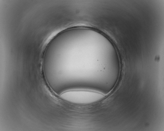 X0000111391367200907100951
