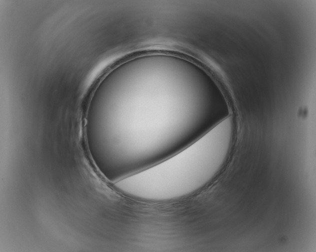 X0000111391368200907100951