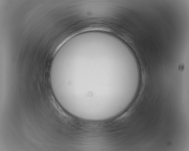 X0000111391369200907100951