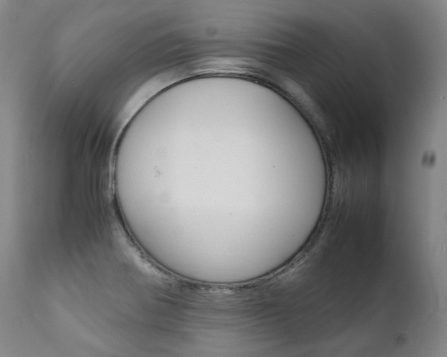 X0000111391370200907100950