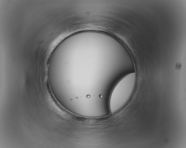 X0000111391371200907100950