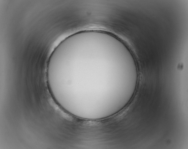 X0000111391374200907100950