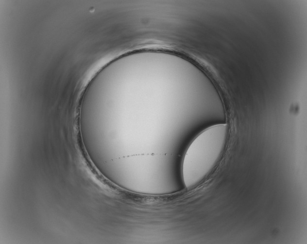 X0000111391375200907100950
