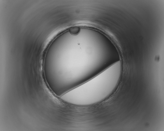 X0000111391376200907100950