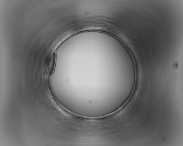 X0000111391377200907100950
