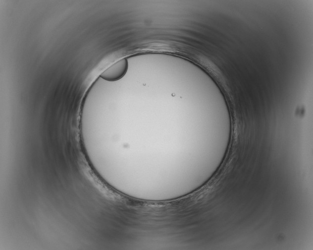 X0000111391378200907100950