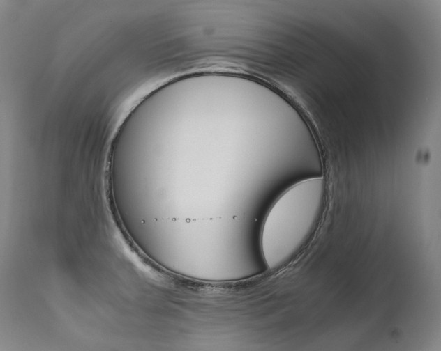 X0000111391379200907100950