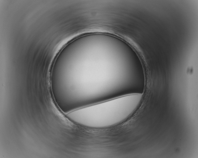 X0000111391380200907100950