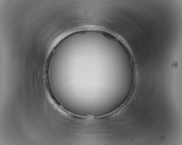 X0000111391381200907100950