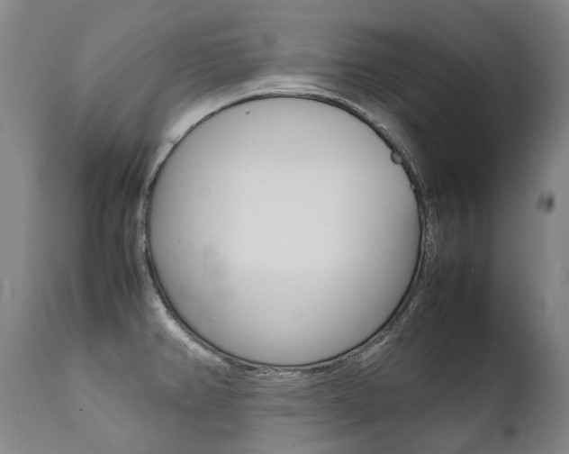 X0000111391382200907100950