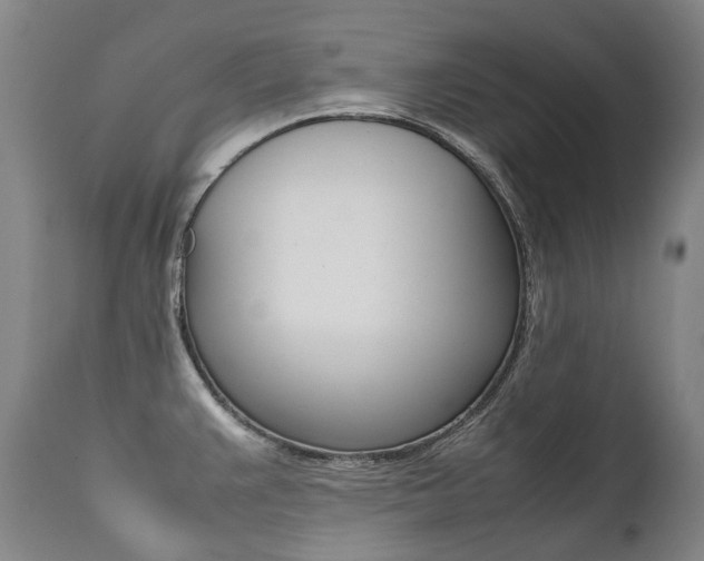 X0000111391383200907100950
