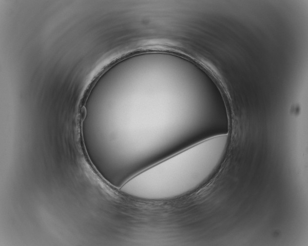 X0000111391384200907100950