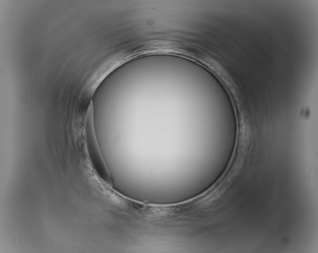 X0000111391385200907100950