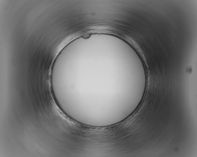 X0000111391386200907100950