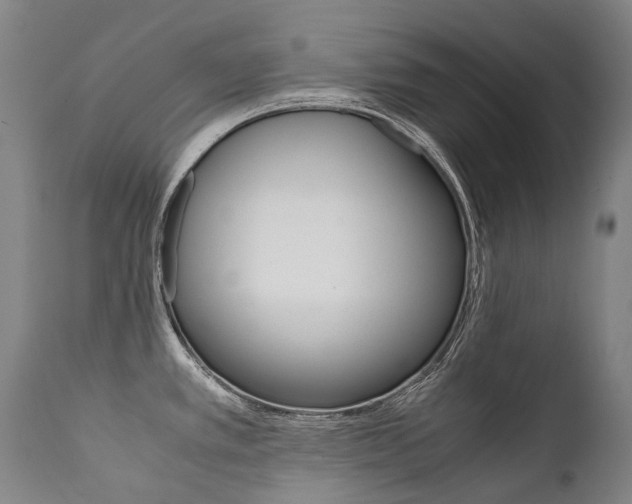 X0000111391389200907100950