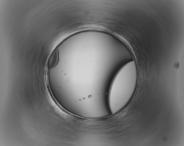 X0000111391391200907100950