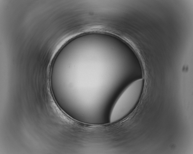 X0000111391392200907100950