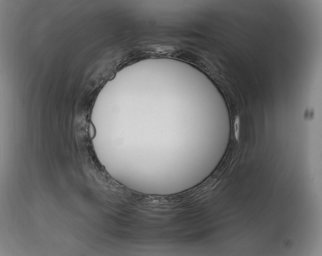 X0000111391395200907100950