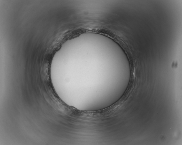 X0000111391396200907100950