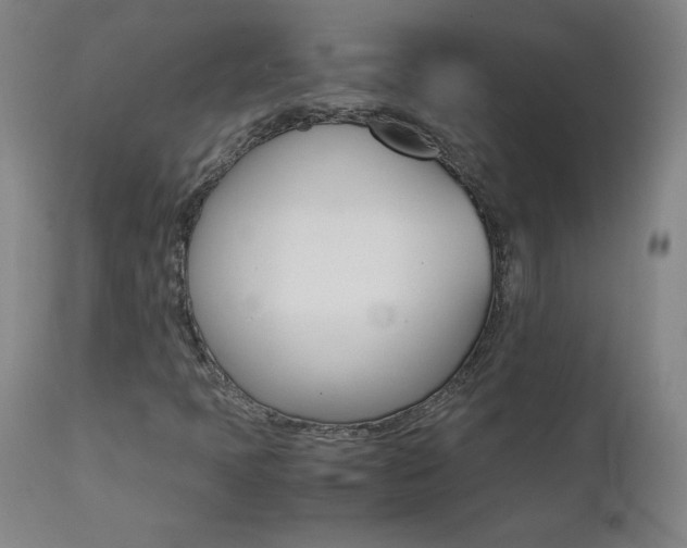 X0000111391397200907100950