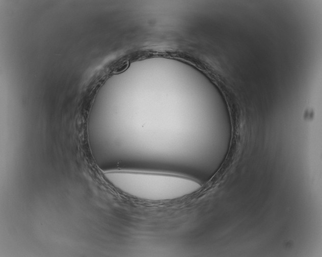X0000111391398200907100950