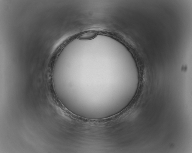X0000111391400200907100950