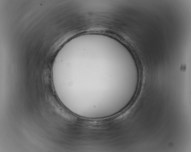 X0000111391401200907100950