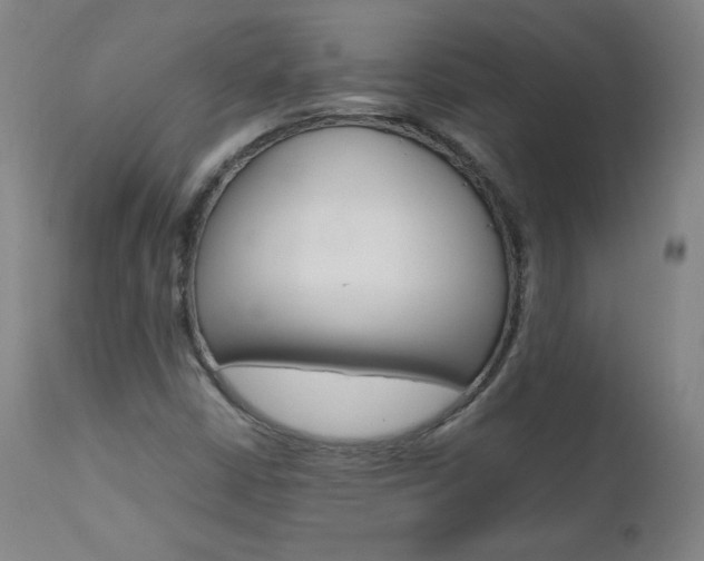 X0000111391402200907100950