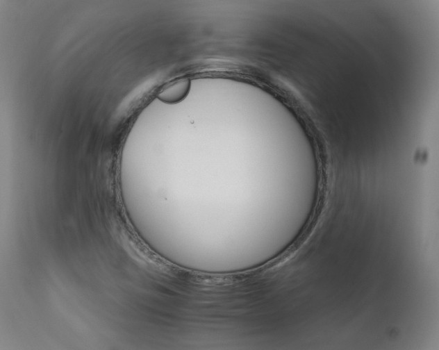 X0000111391403200907100950