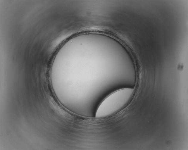 X0000111391404200907100950