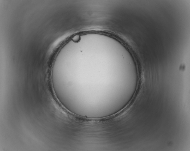 X0000111391406200907100950