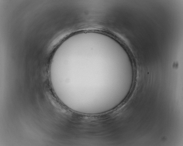 X0000111391407200907100950
