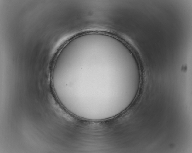 X0000111391408200907100950
