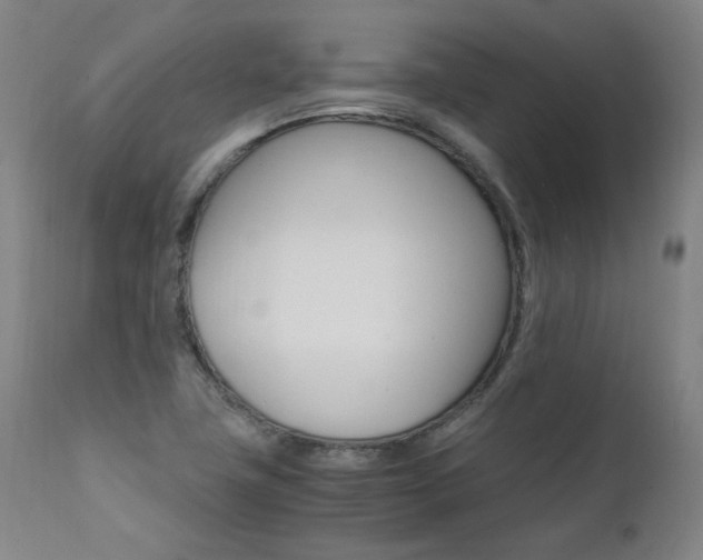 X0000111391411200907100950
