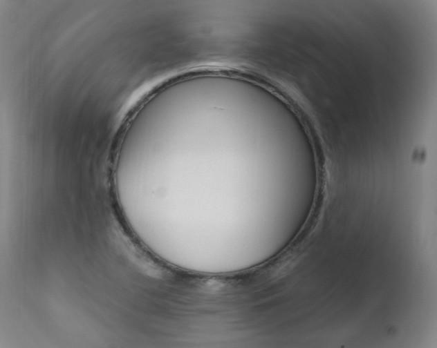 X0000111391412200907100950