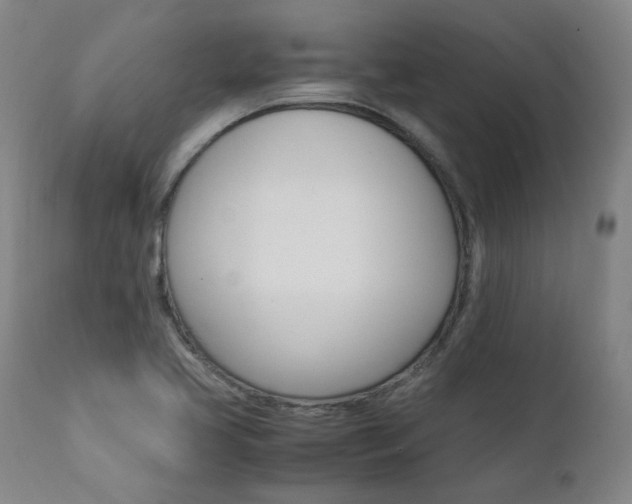 X0000111391413200907100950