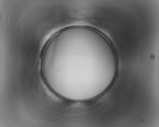 X0000111391414200907100950