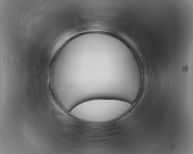 X0000111391415200907100950