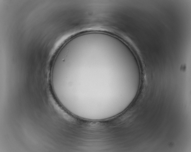 X0000111391416200907100950
