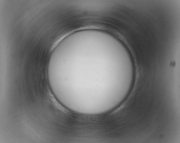X0000111391417200907100950
