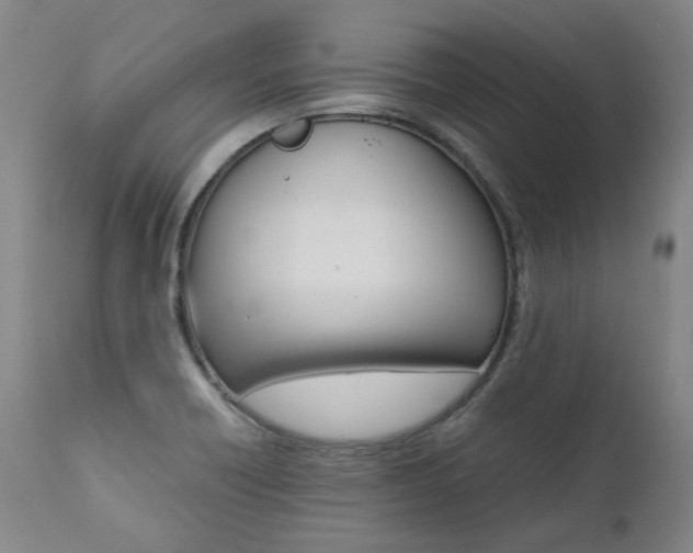 X0000111391418200907100950