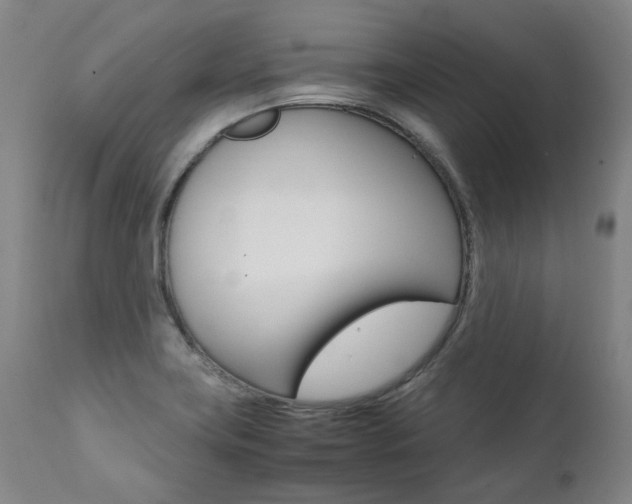 X0000111391419200907100950