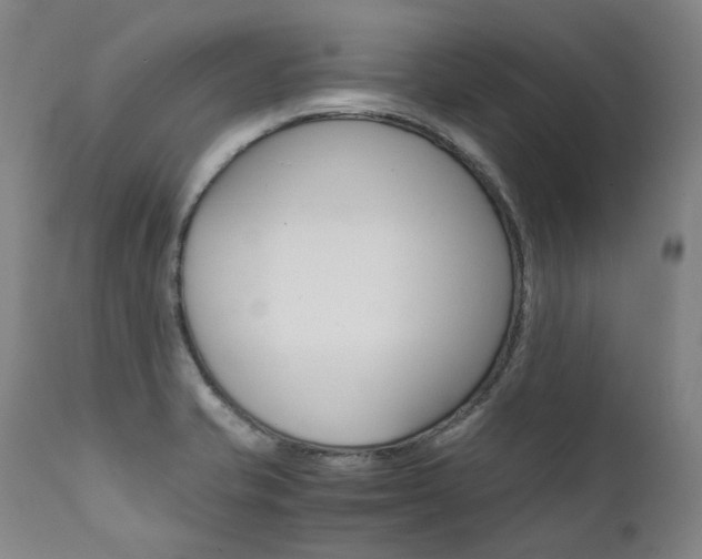X0000111391421200907100950