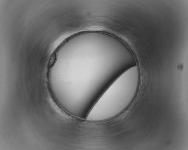 X0000111391422200907100950