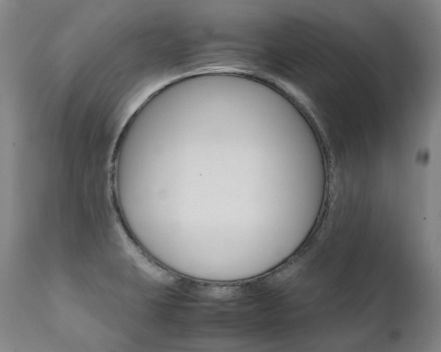 X0000111391423200907100950