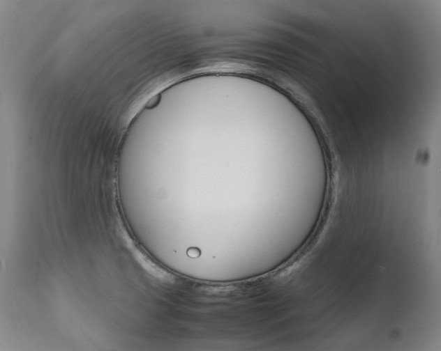 X0000111391425200907100950