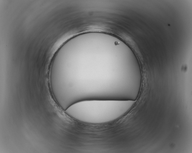 X0000111391427200907100950