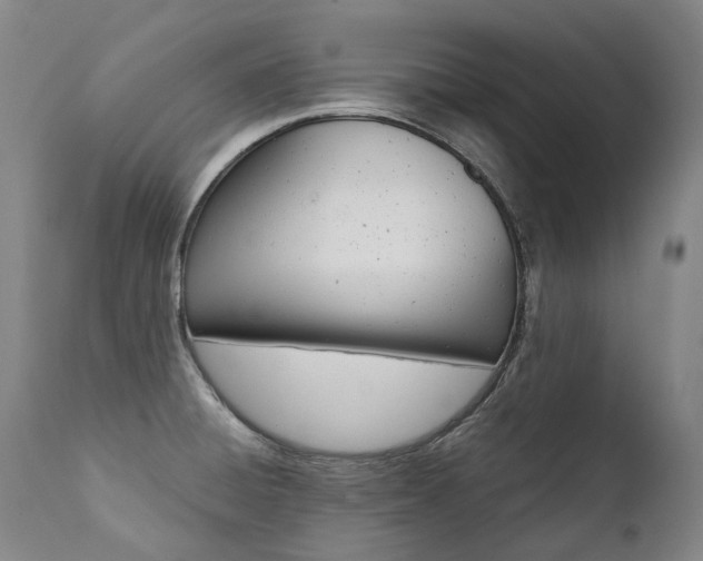 X0000111391428200907100950